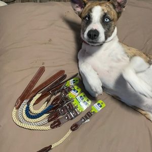 NWT Top Paw Leather/Rope Collar